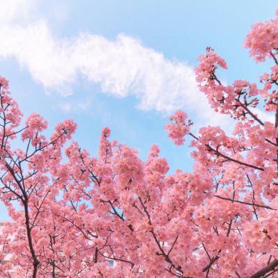 逍遥浪人旧版下载